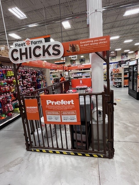 Indoor Sheep Hog Goat Panels Display 2